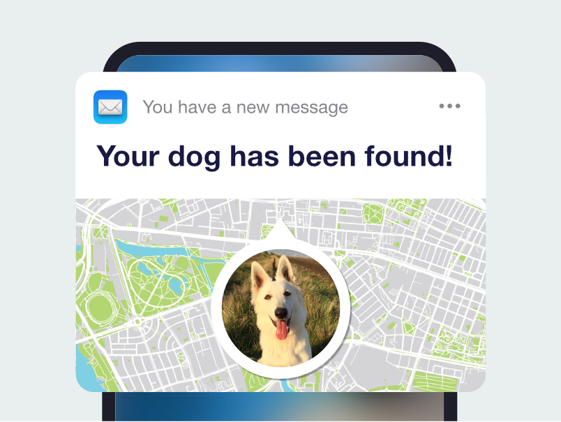 oboid pes nalezen