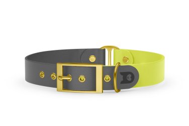 Dog Collar Duo: Gray & Neon yellow with Gold