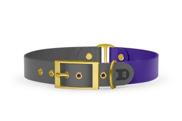 Dog Collar Duo: Gray & Purple with Gold