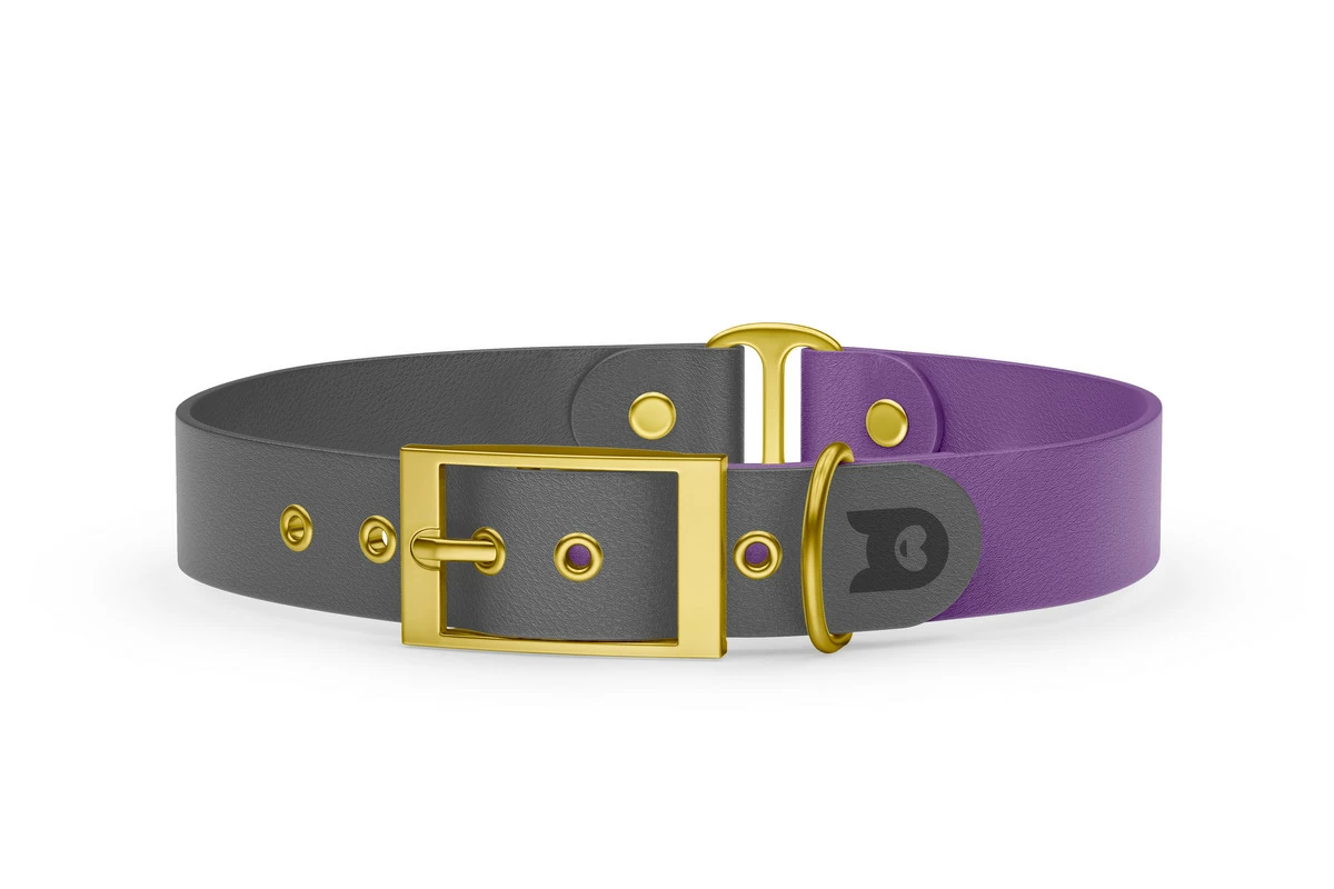 Dog Collar Duo: Gray & Purpur with Gold