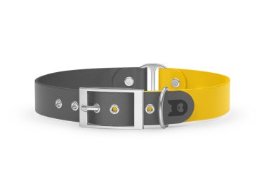 Dog Collar Duo: Gray & Yellow with Silver