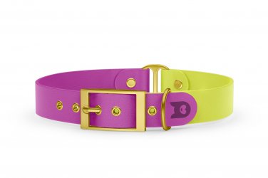 Dog Collar Duo: Light purple & Neon yellow with Gold