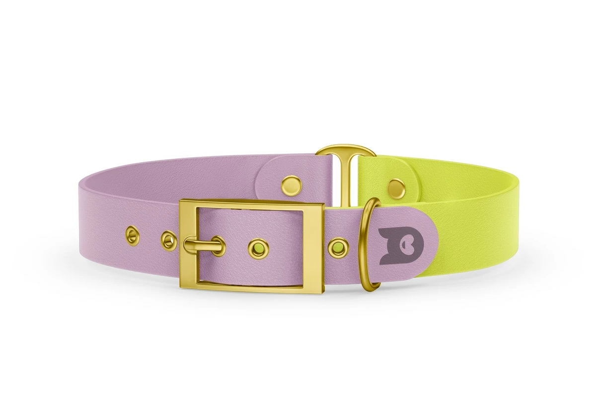 Dog Collar Duo: Lilac & Neon yellow with Gold