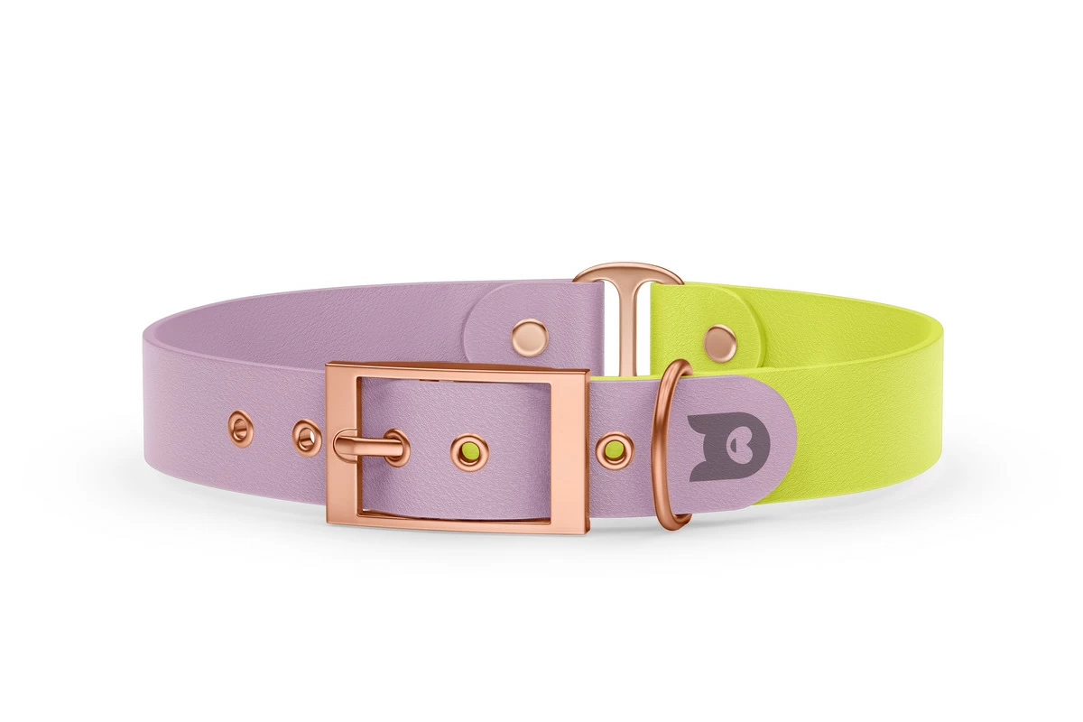 Dog Collar Duo: Lilac & Neon yellow with Rosegold