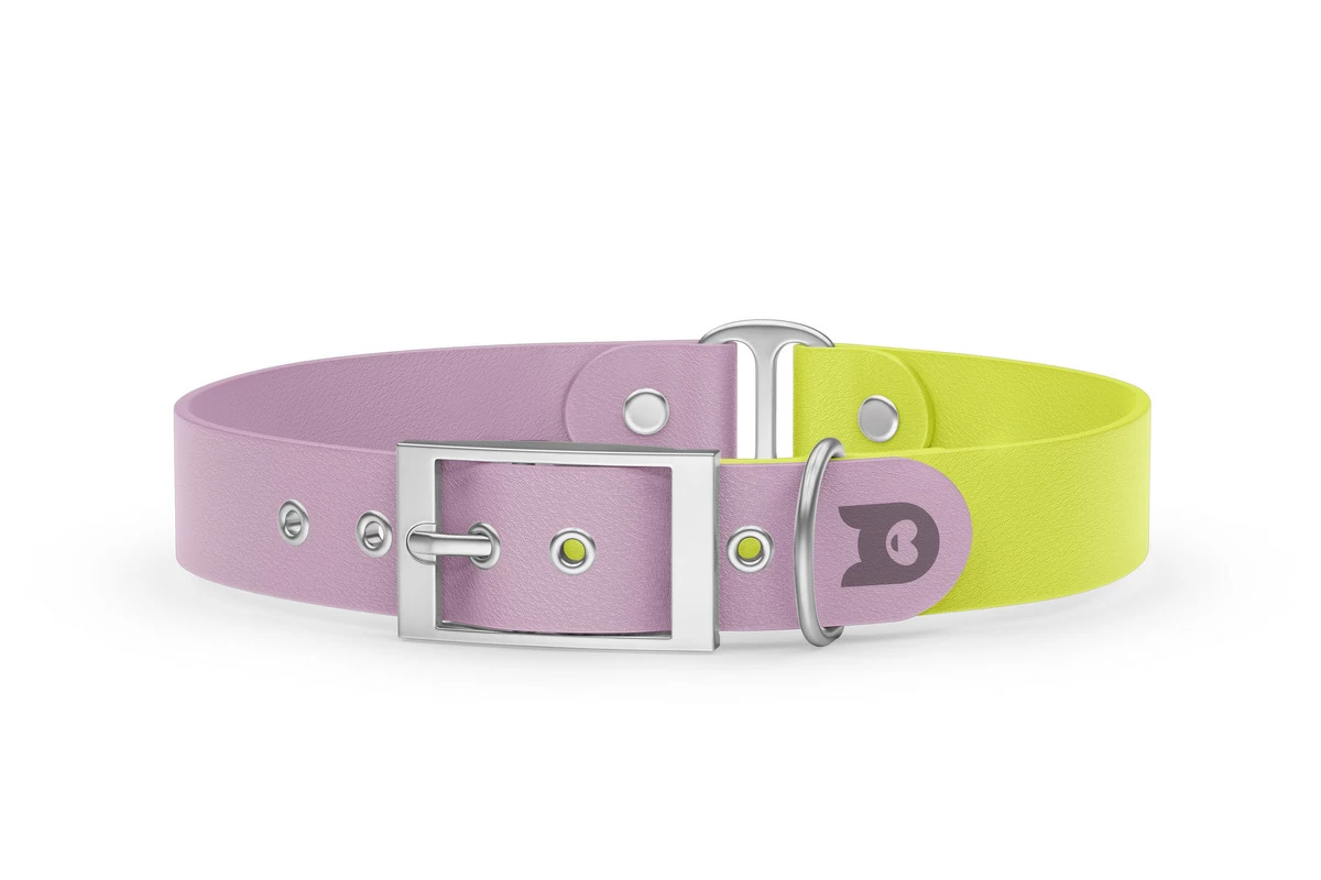 Dog Collar Duo: Lilac & Neon yellow with Silver