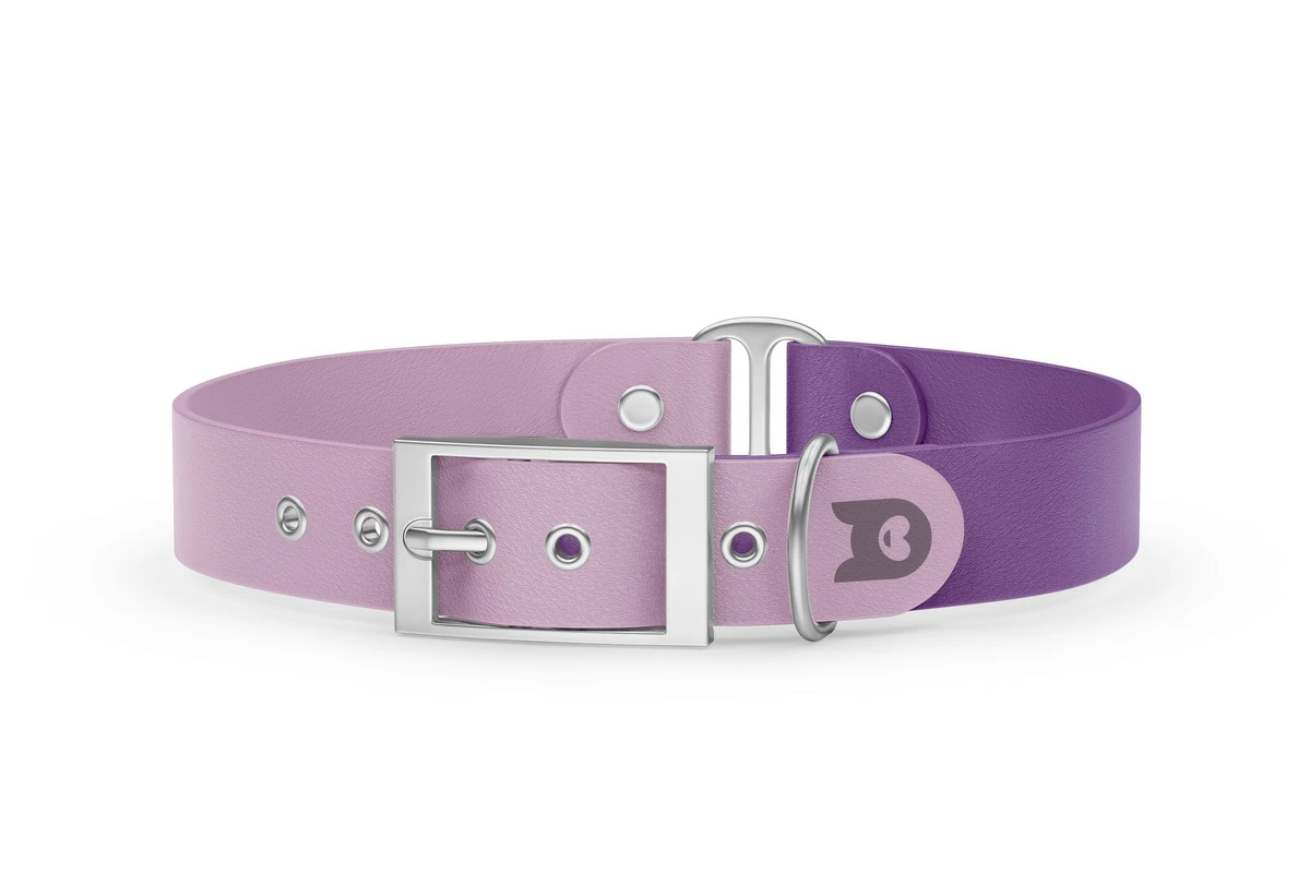 Dog Collar Duo: Lilac & Purpur with Silver