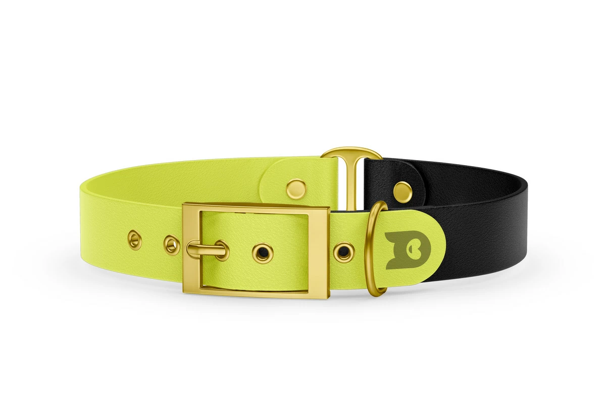 Dog Collar Duo: Neon yellow & Black with Gold
