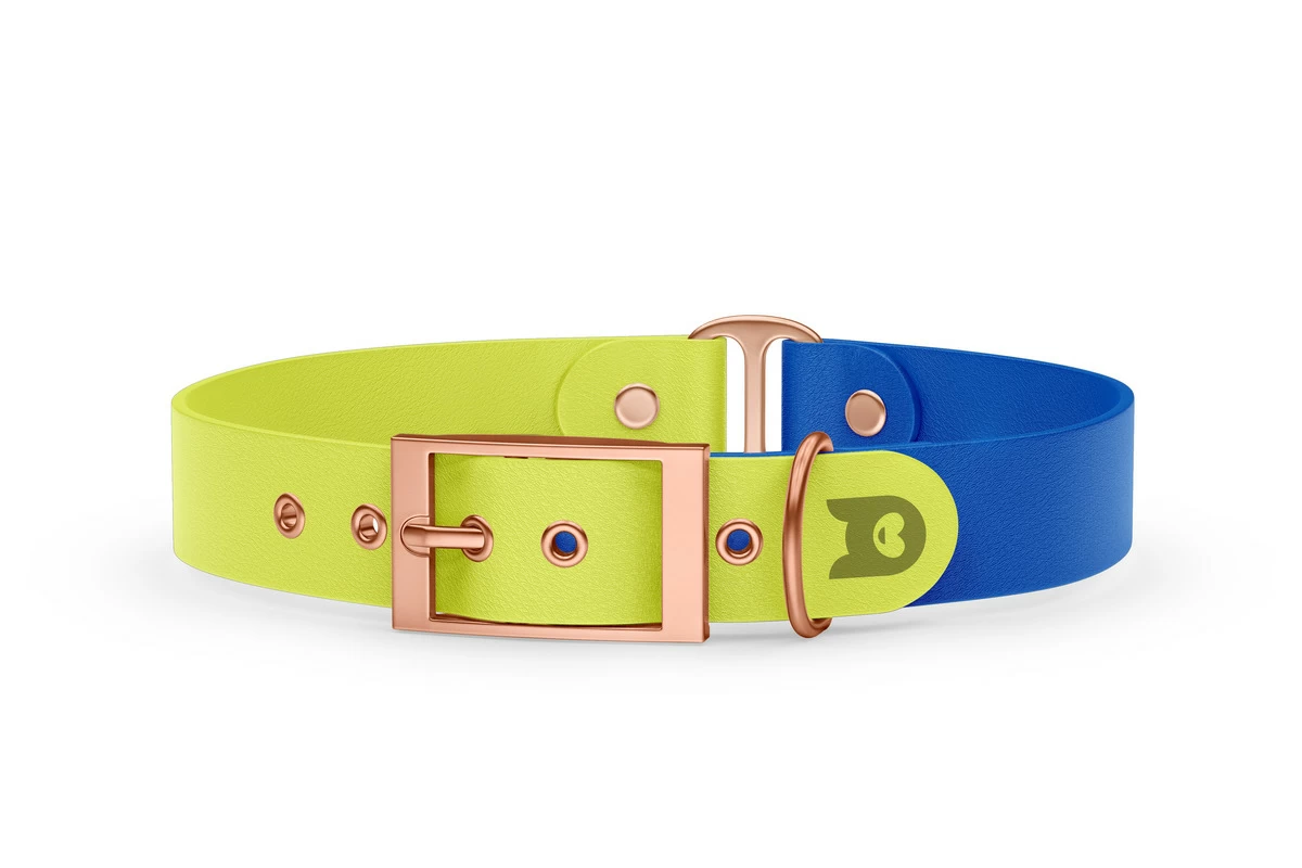Dog Collar Duo: Neon yellow & Blue with Rosegold