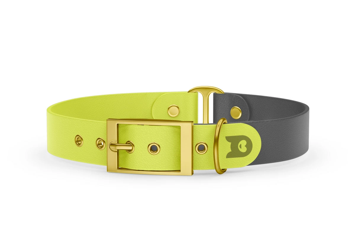Dog Collar Duo: Neon yellow & Gray with Gold