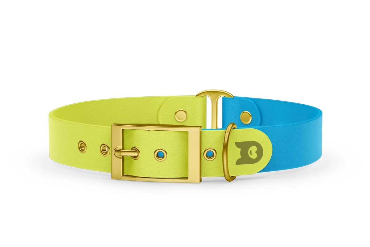 Dog Collar Duo: Neon yellow & Light blue with Gold