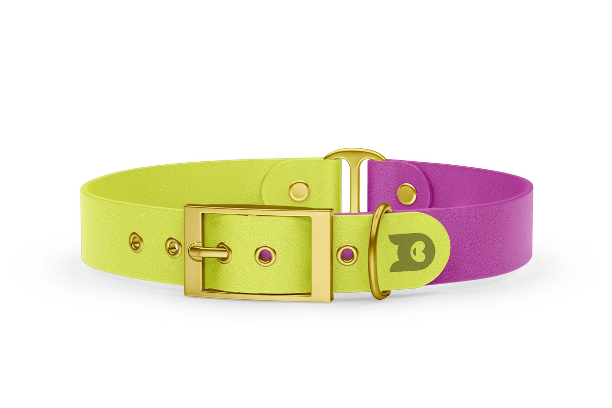 Dog Collar Duo: Neon yellow & Light purple with Gold