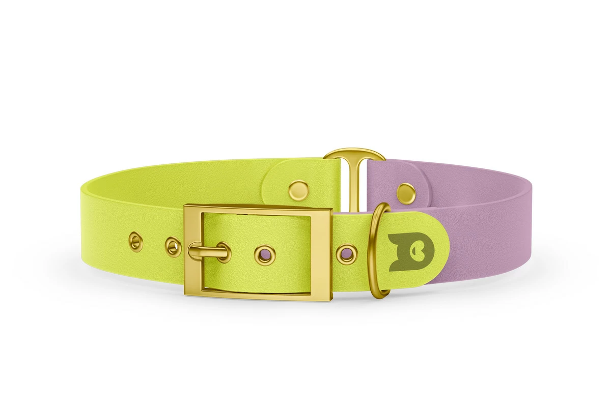 Dog Collar Duo: Neon yellow & Lilac with Gold