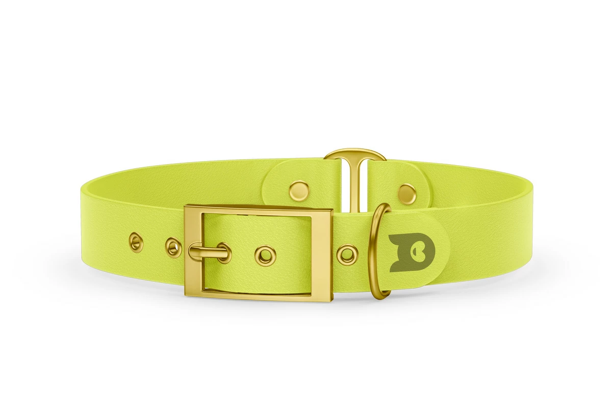 Dog Collar Duo: Neon yellow & Neon yellow with Gold