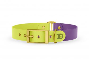 Dog Collar Duo: Neon yellow & Purpur with Gold