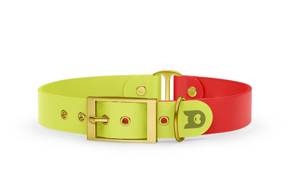 Dog Collar Duo: Neon yellow & Red with Gold