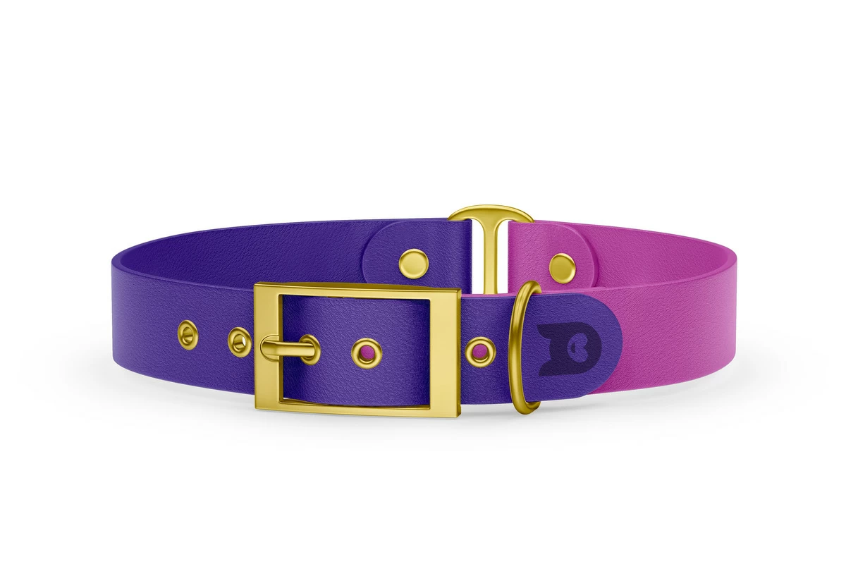 Dog Collar Duo: Purple & Light purple with Gold