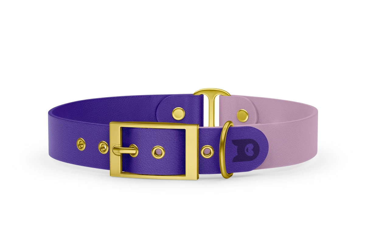 Dog Collar Duo: Purple & Lilac with Gold
