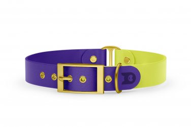 Dog Collar Duo: Purple & Neon yellow with Gold
