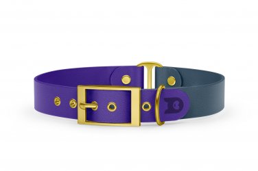 Dog Collar Duo: Purple & Petrol with Gold
