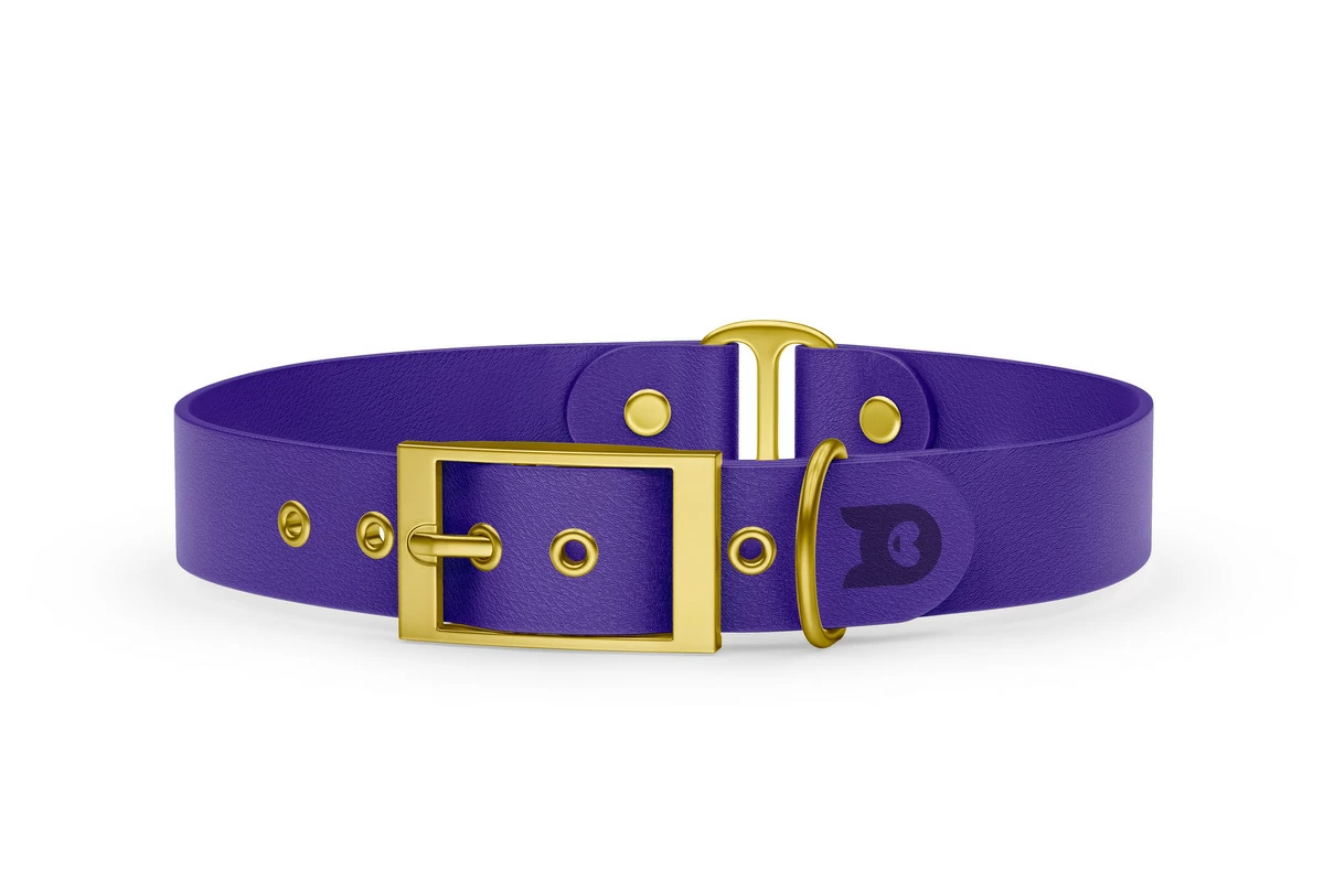 Dog Collar Duo: Purple & Purple with Gold