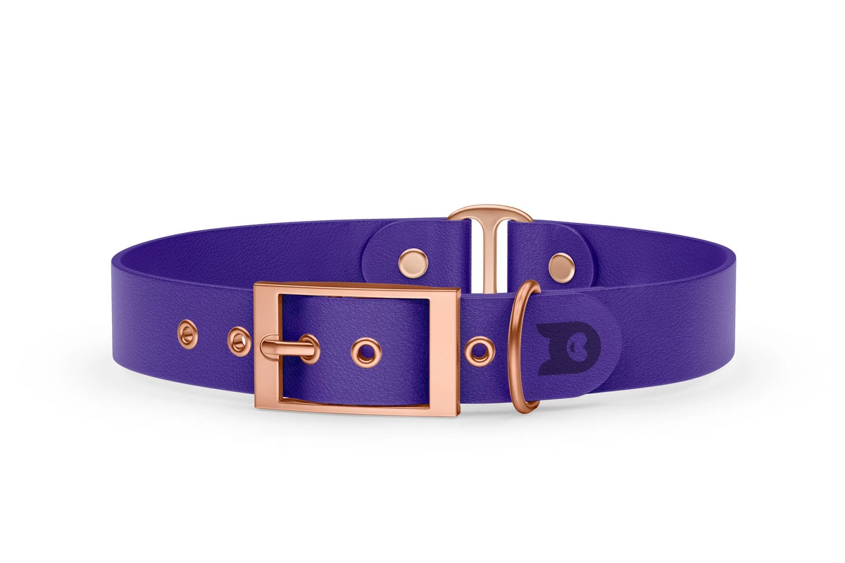 Dog Collar Duo: Purple & Purple with Rosegold