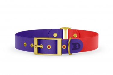 Dog Collar Duo: Purple & Red with Gold
