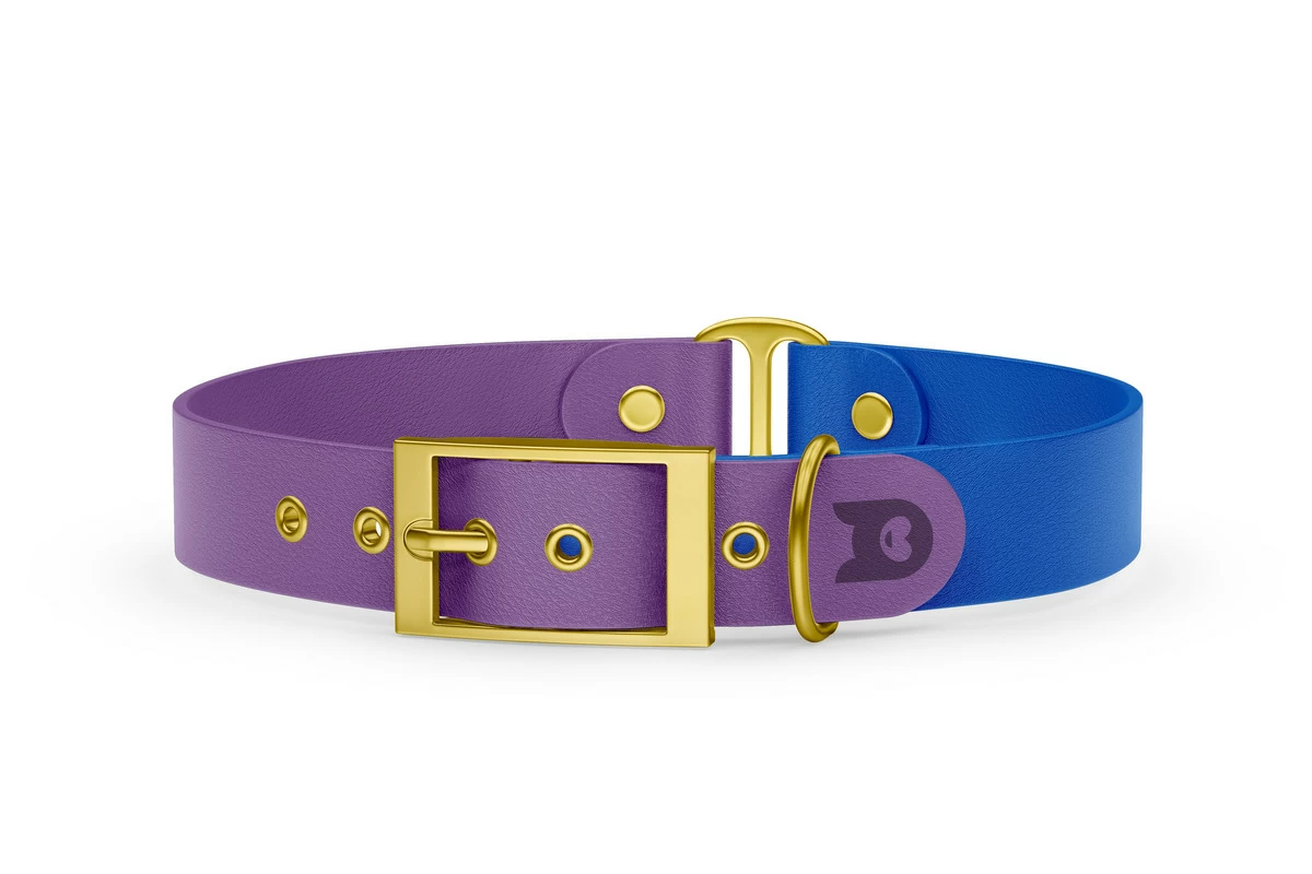 Dog Collar Duo: Purpur & Blue with Gold