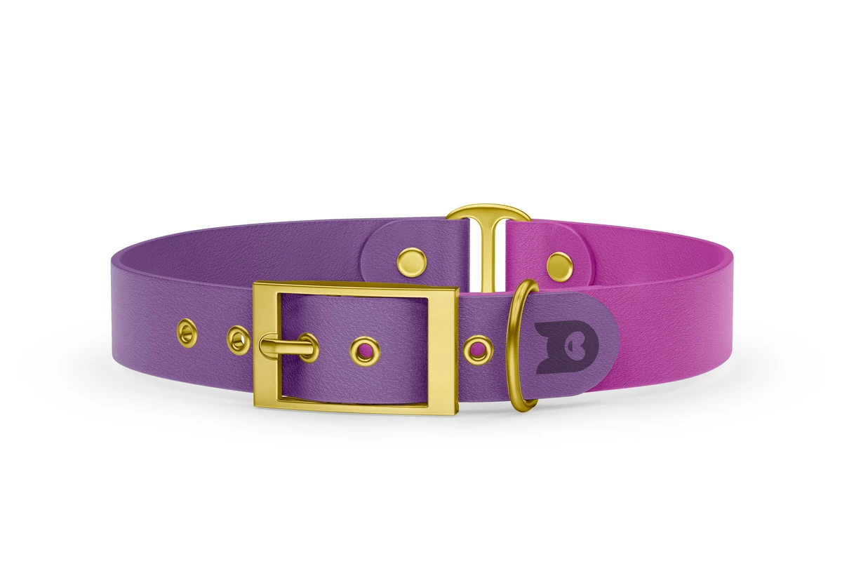 Dog Collar Duo: Purpur & Light purple with Gold