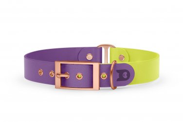 Dog Collar Duo: Purpur & Neon yellow with Rosegold