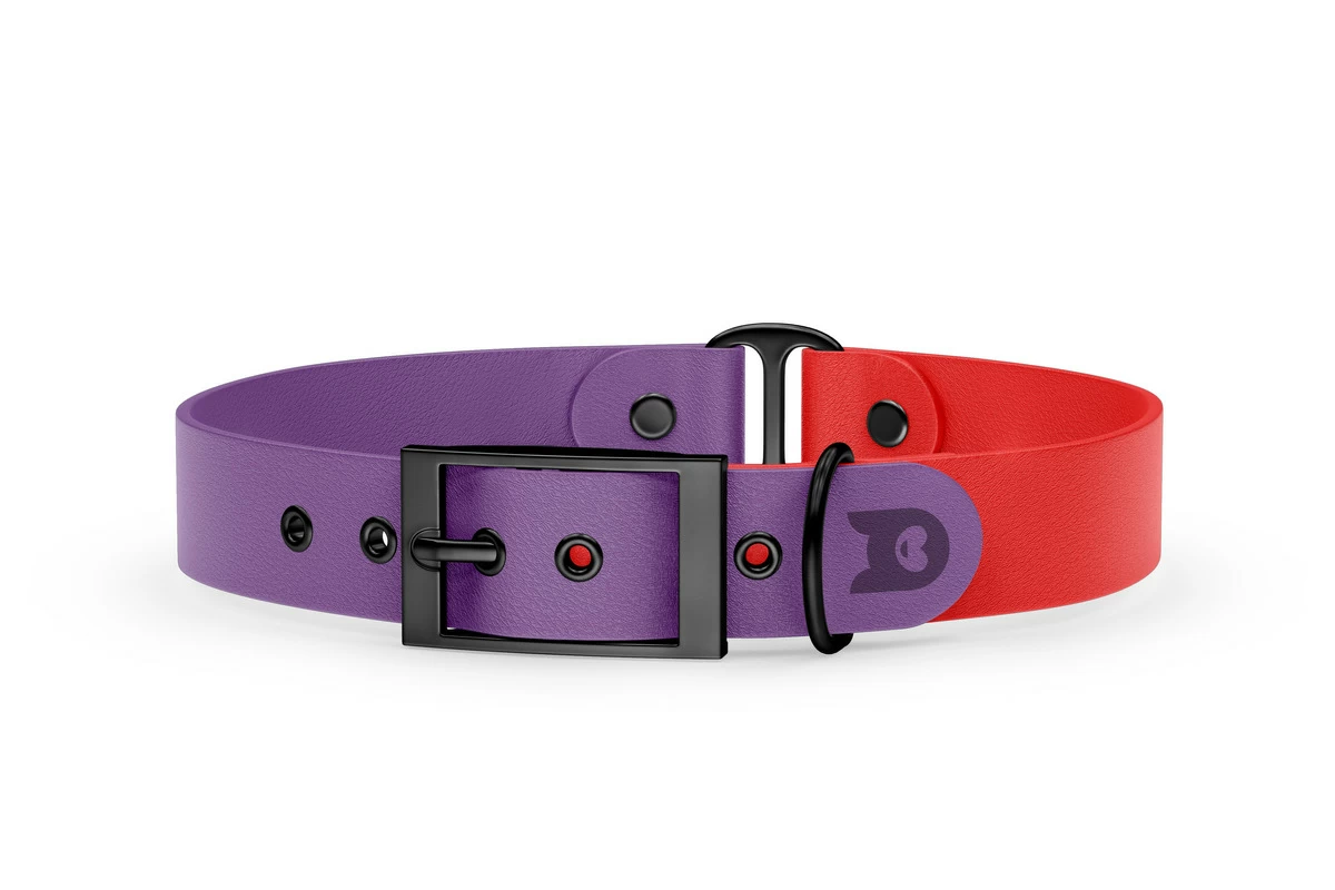 Dog Collar Duo: Purpur & Red with Black