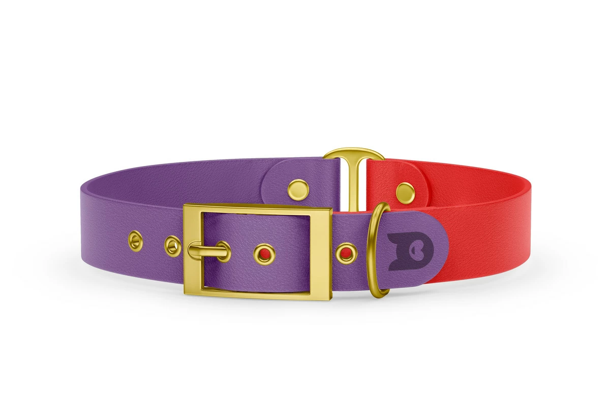 Dog Collar Duo: Purpur & Red with Gold