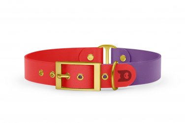 Dog Collar Duo: Red & Purpur with Gold