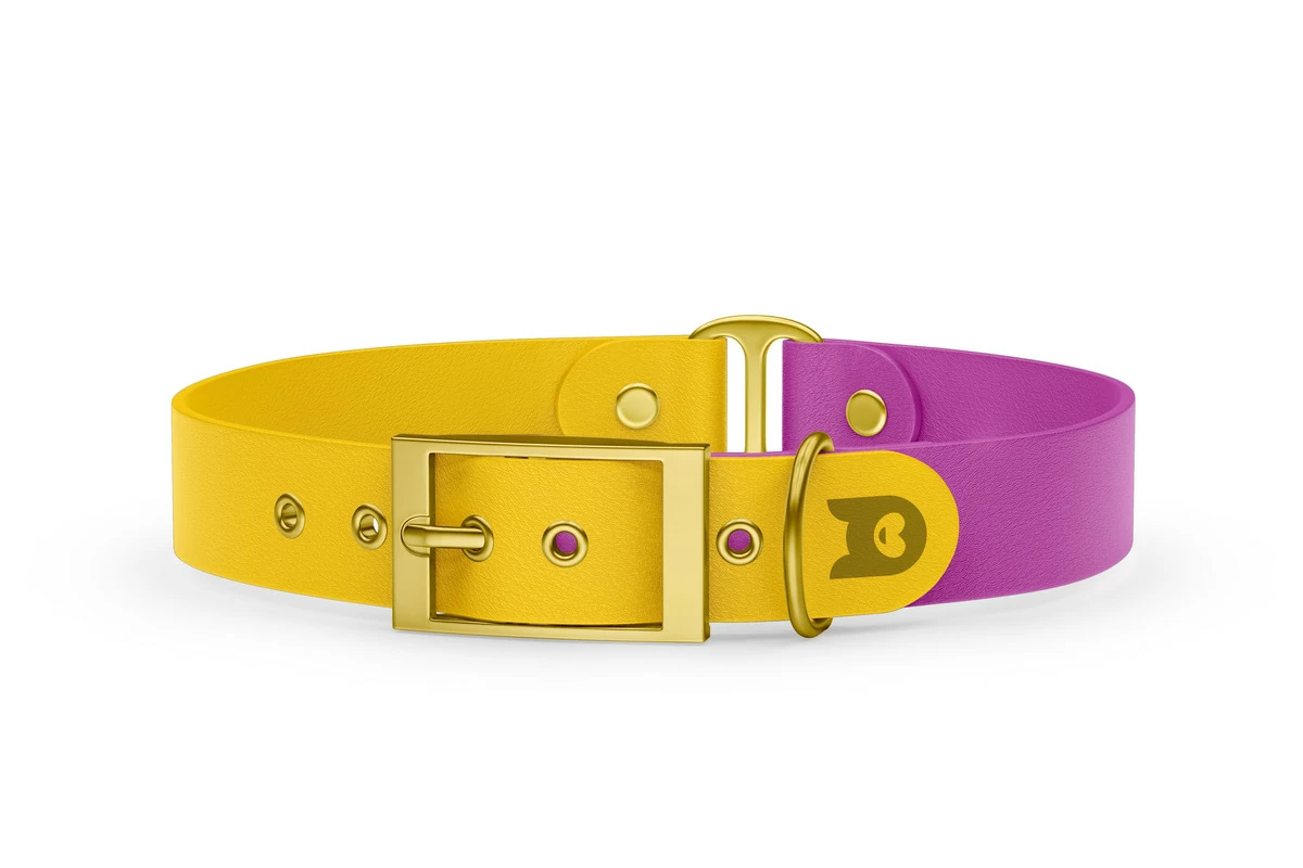 Dog Collar Duo: Yellow & Light purple with Gold