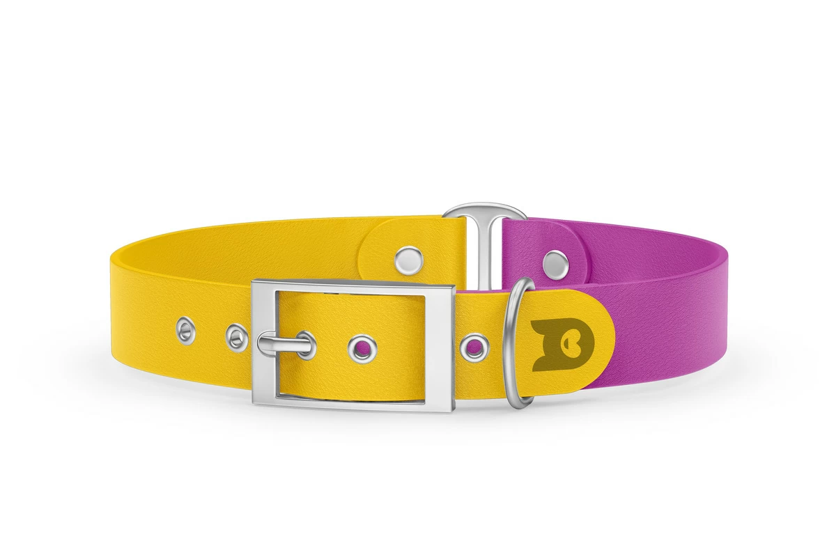 Dog Collar Duo: Yellow & Light purple with Silver