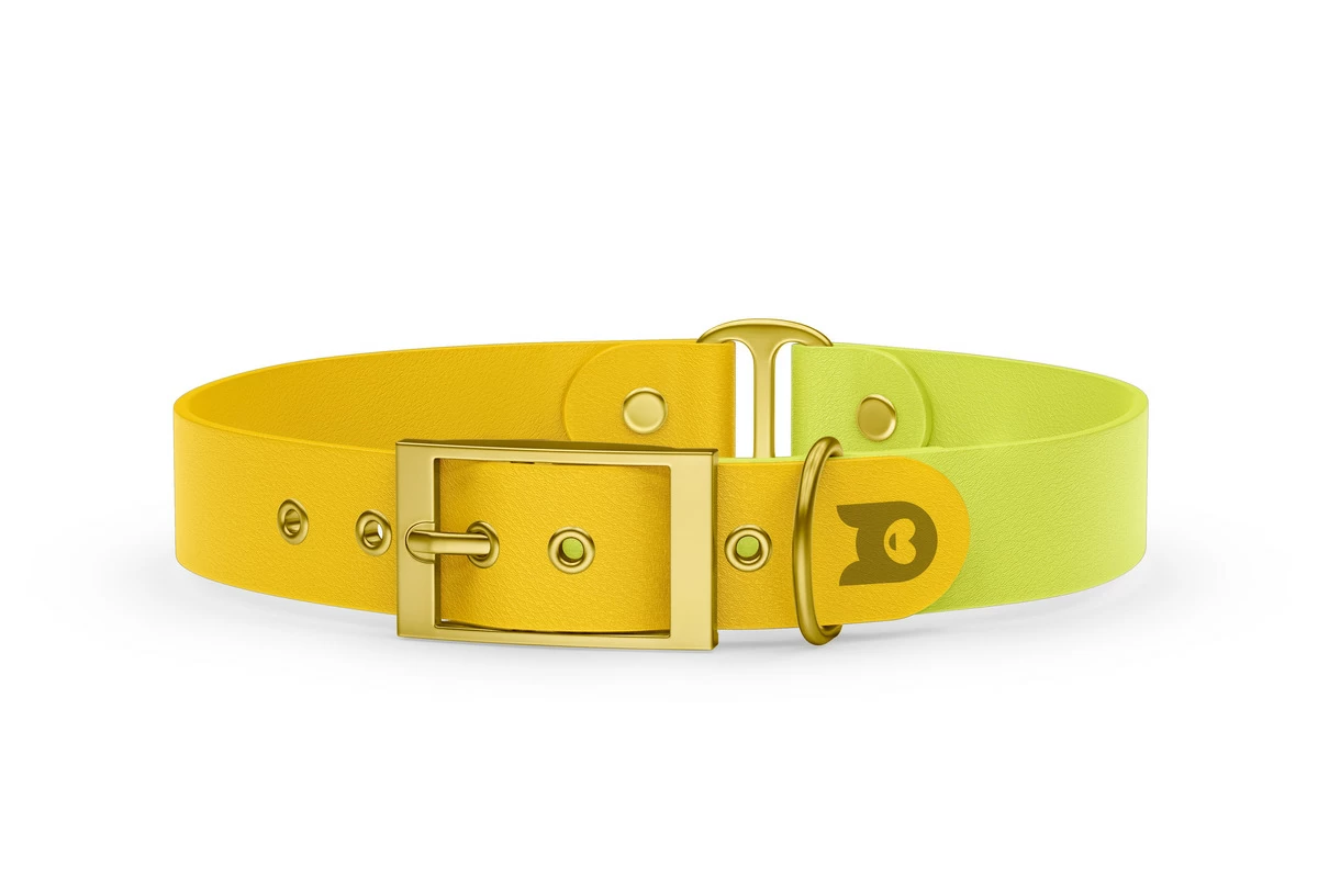 Dog Collar Duo: Yellow & Neon yellow with Gold