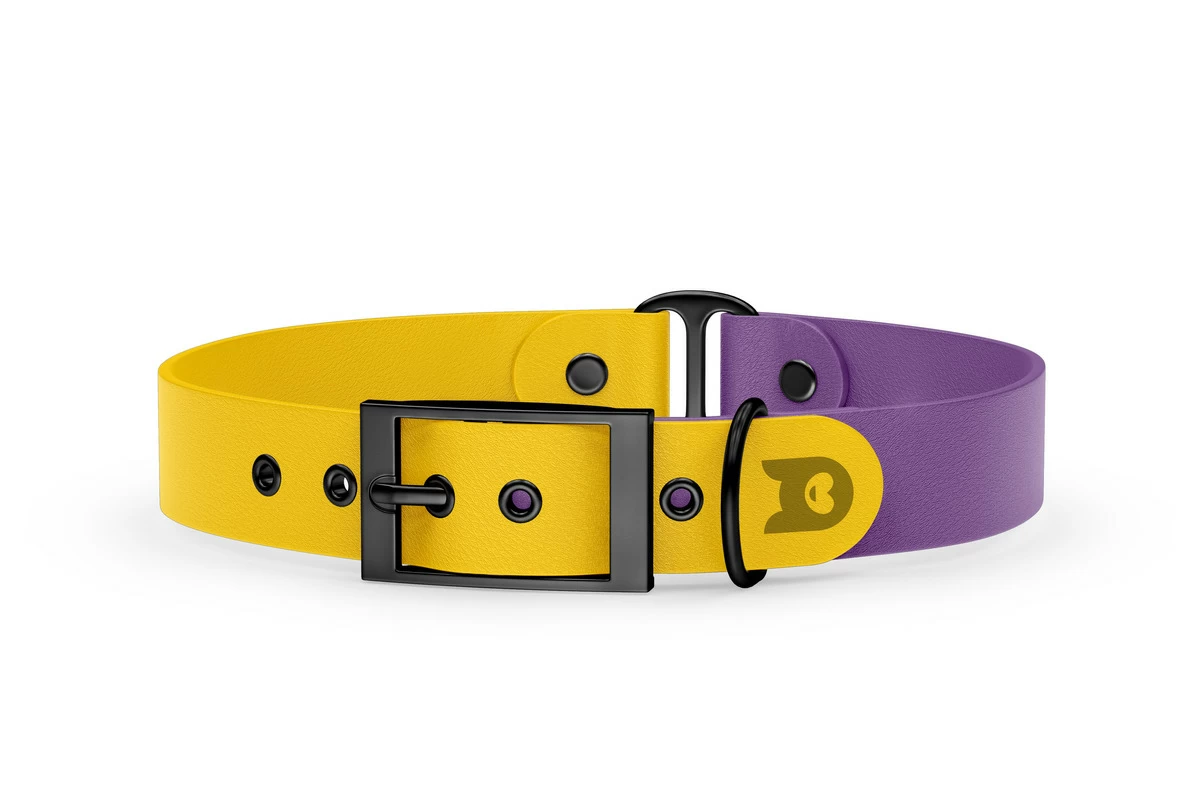 Dog Collar Duo: Yellow & Purpur with Black