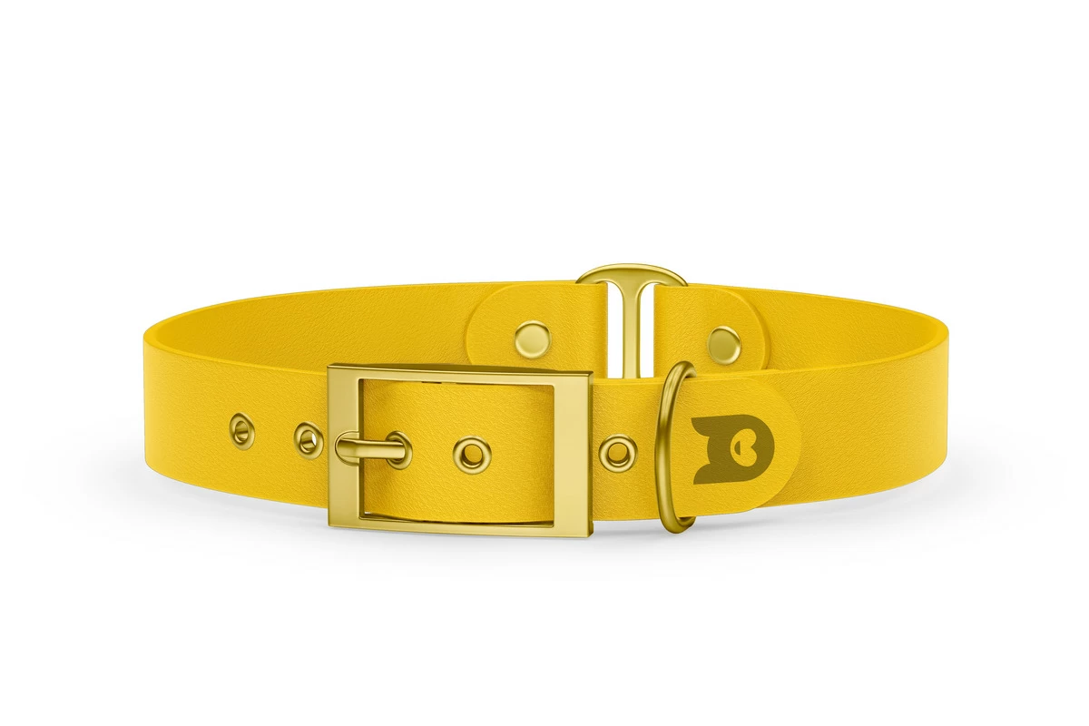 Dog Collar Duo: Yellow & Yellow with Gold