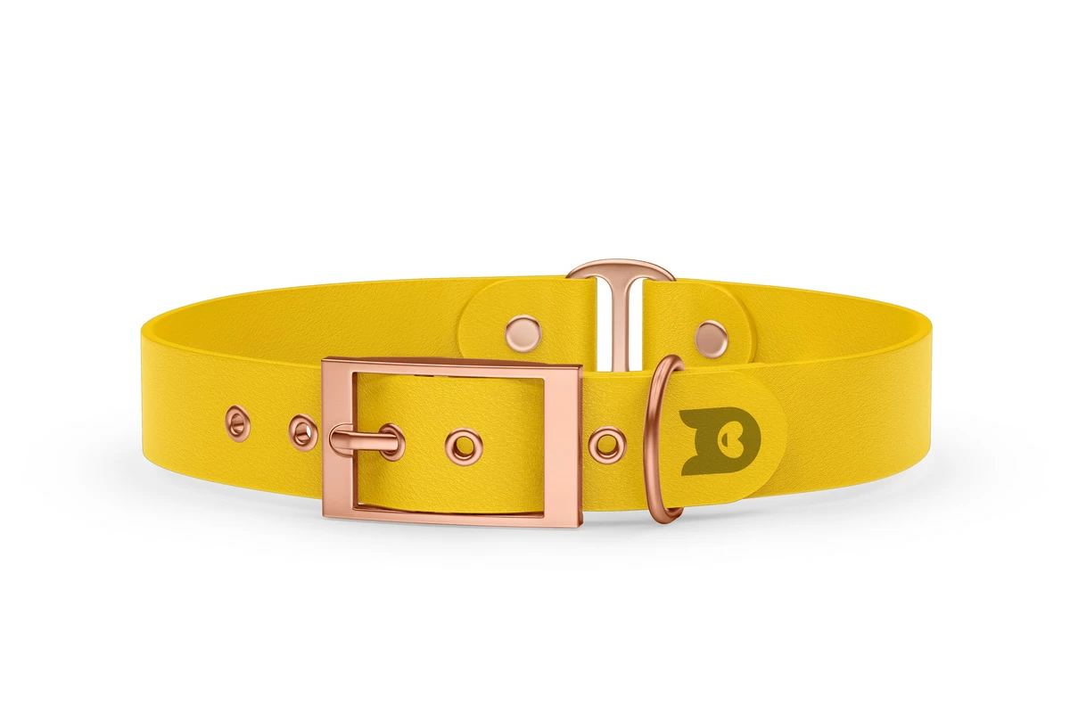 Dog Collar Duo: Yellow & Yellow with Rosegold