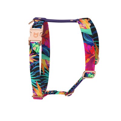 Dog harness Collection Eden
