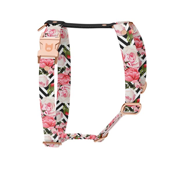 Dog harness Collection Roses