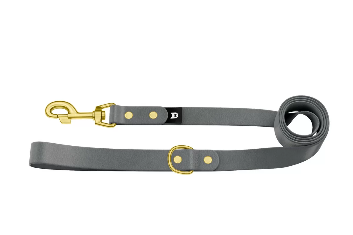Dog Leash Basic: Gray with Gold components