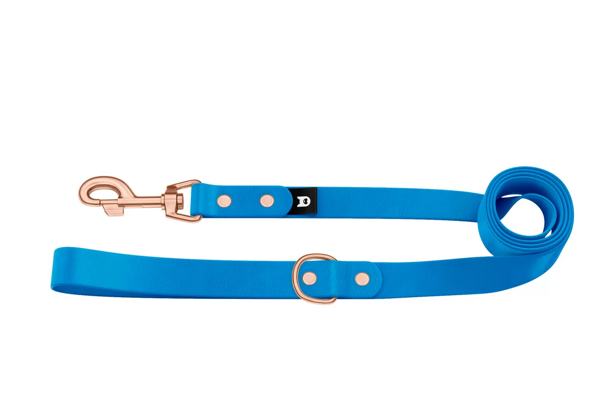 Dog Leash Basic: Light blue with Rosegold components