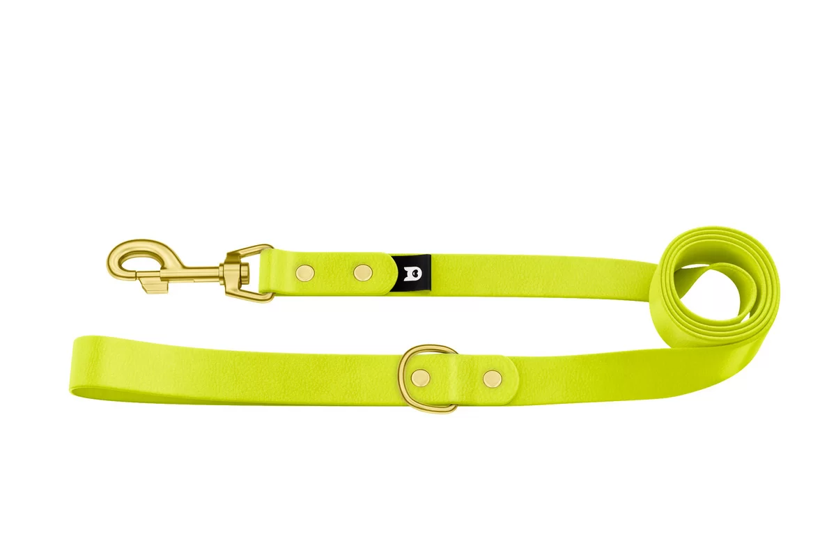 Dog Leash Basic: Neon yellow with Gold components