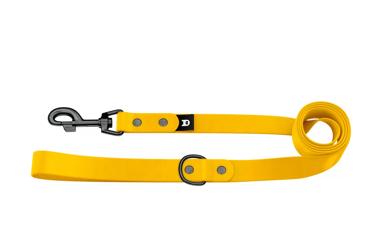 Dog Leash Basic: Yellow with Black components