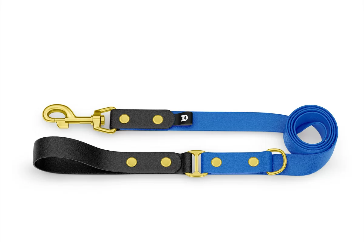 Dog Leash Duo: Black & Blue with Gold components