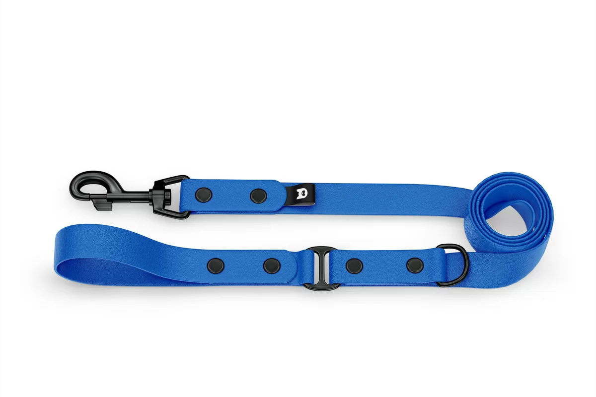 Dog Leash Duo: Blue & Blue with Black components