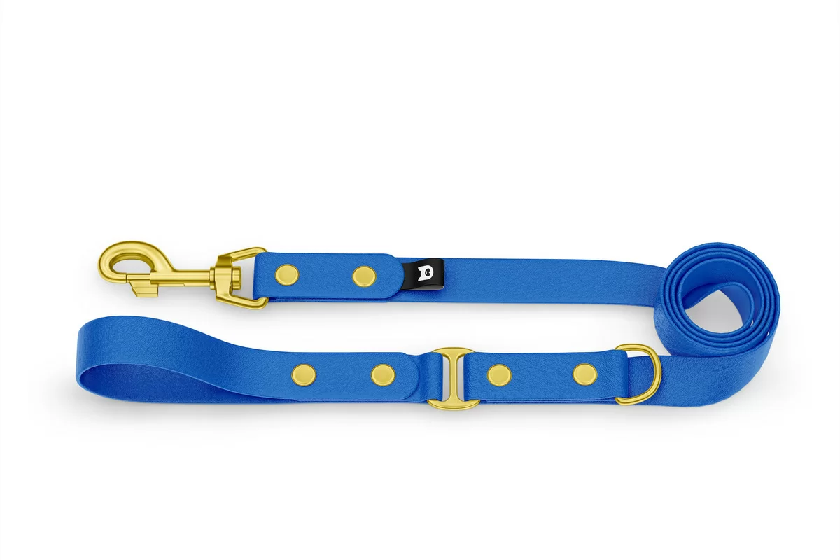 Dog Leash Duo: Blue & Blue with Gold components