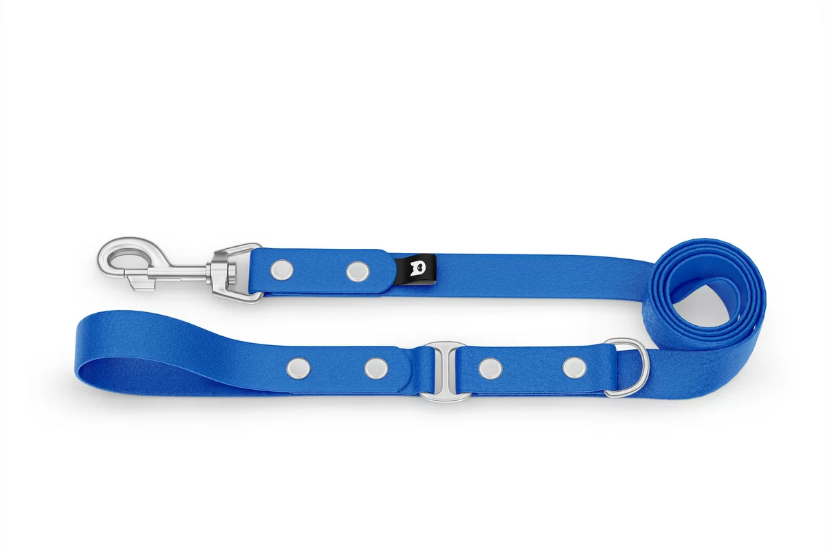 Dog Leash Duo: Blue & Blue with Silver components