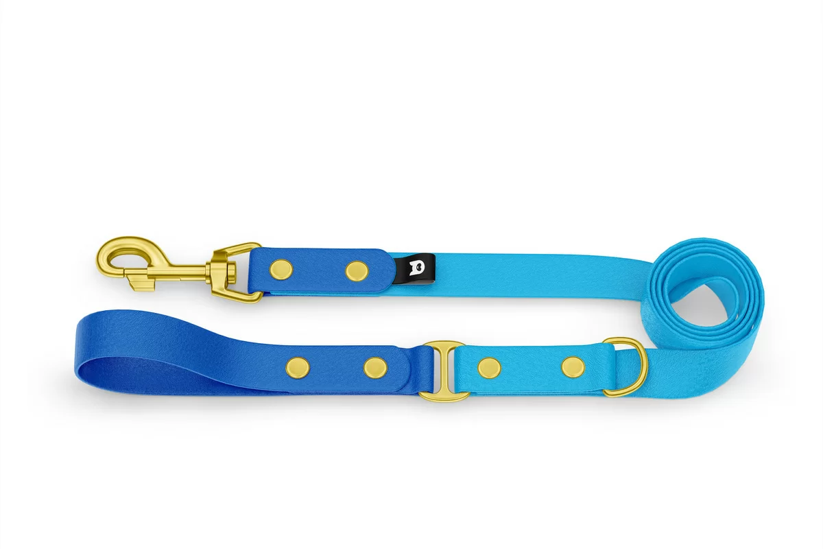 Dog Leash Duo: Blue & Light blue with Gold components