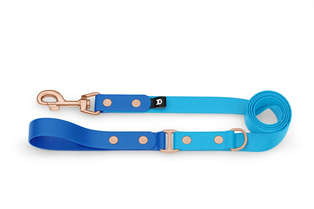 Dog Leash Duo: Blue & Light blue with Rosegold components